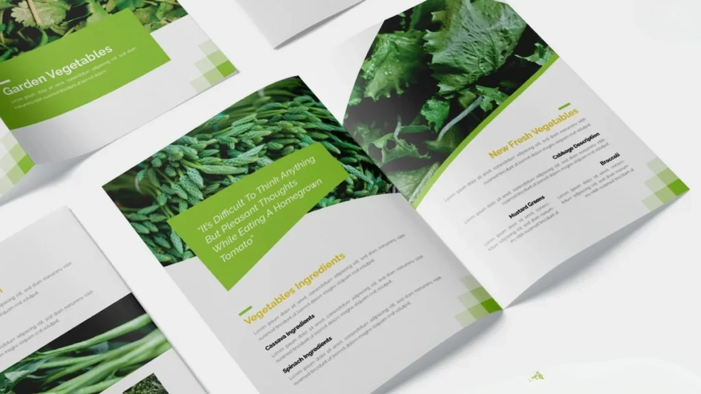 Export import company profile design services