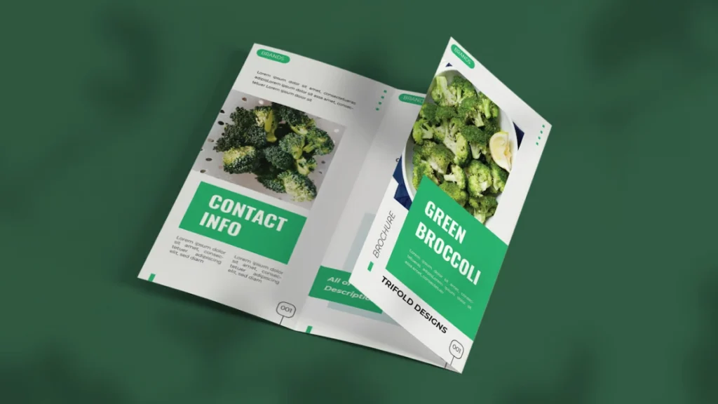 Export import company profile makers