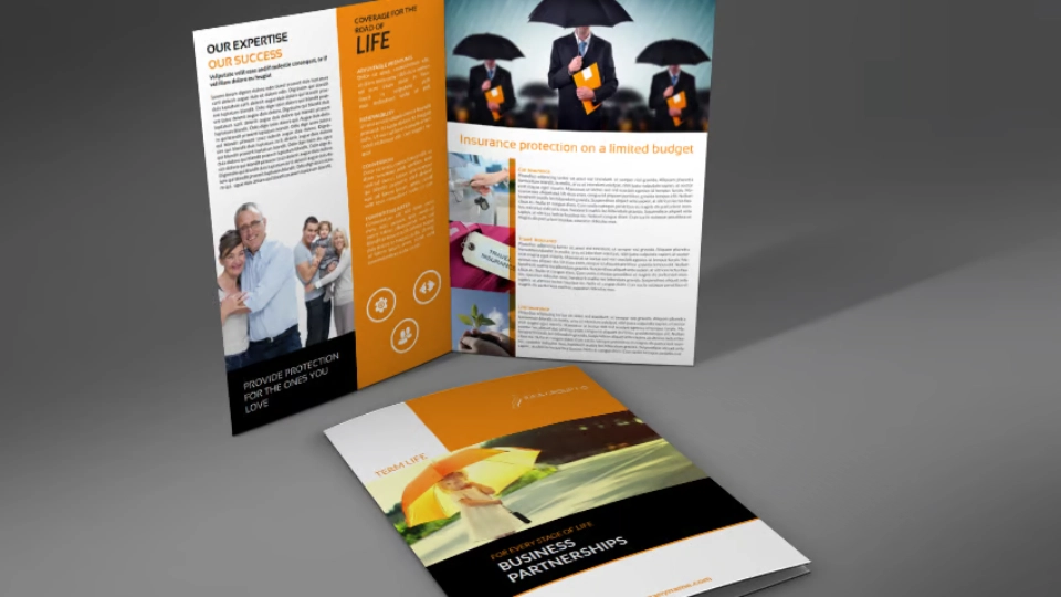 Insurance Company Profile Design samples