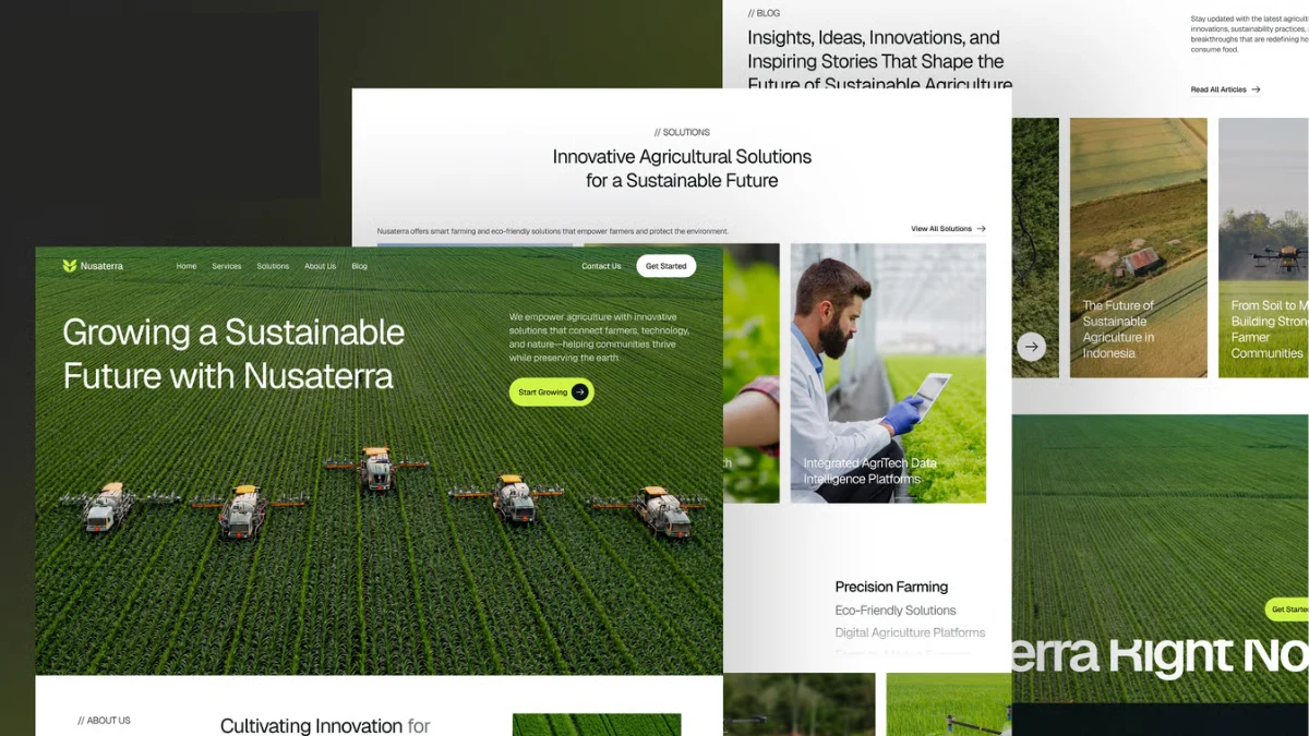 web development Netherlands