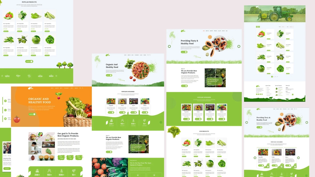 web design company Australia