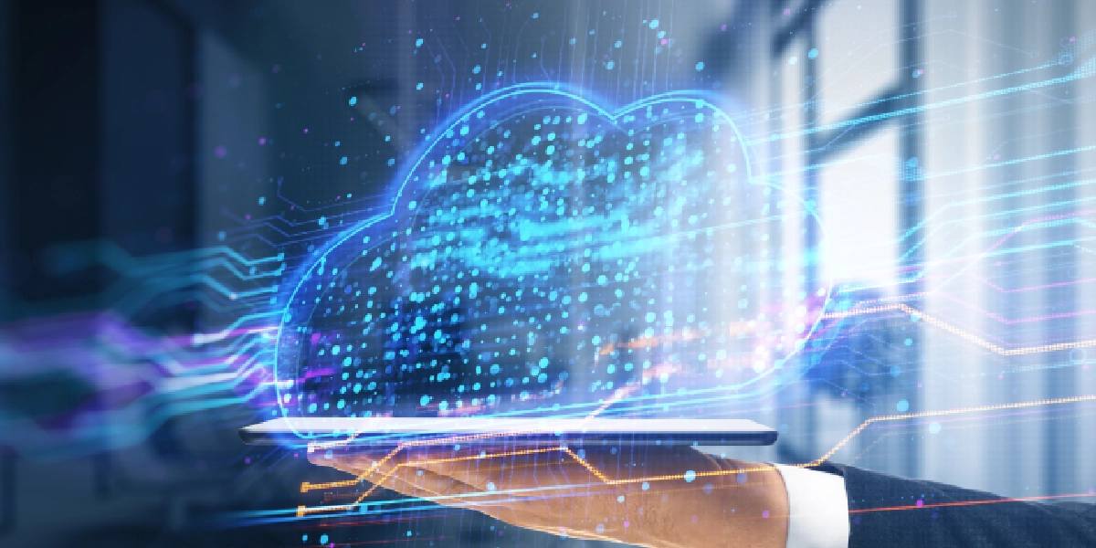 WordPress Web Designers kerala